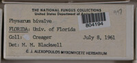 Image Associated With the Occurence